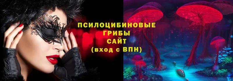 Галлюциногенные грибы Psilocybe  blacksprut зеркало  Липки 